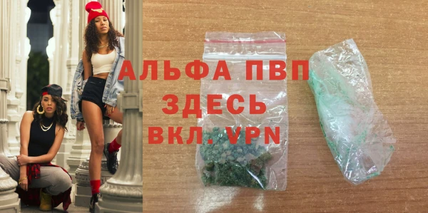 дживик Билибино