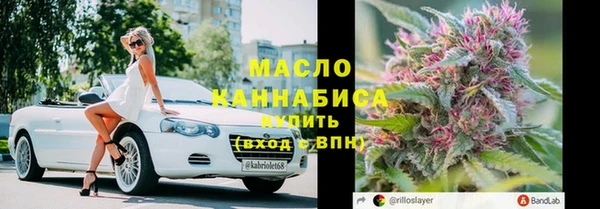 тгк Медногорск