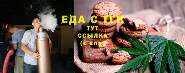 тгк Медногорск